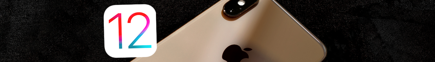 IOS 12.0